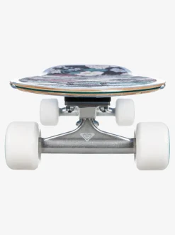 Blossom - Cruiserboard><noscript><img width=